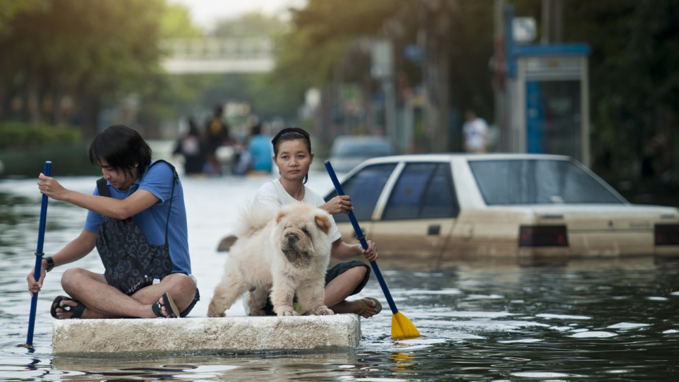 In Thailand wurden im Sommer 2011 durch einen ungewöhnlich lange anhaltenden Monsun massive Überschwemmungen verursacht. © istock/gdagys 