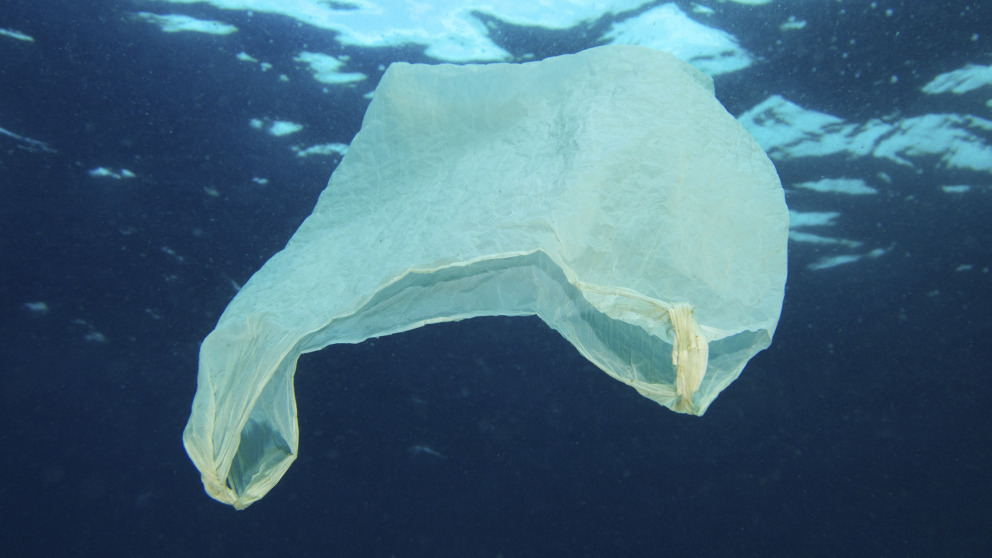 Bis zu 13 Millionen Tonnen Plastikmüll landen jedes Jahr im Meer. © istock/MikaelEriksson