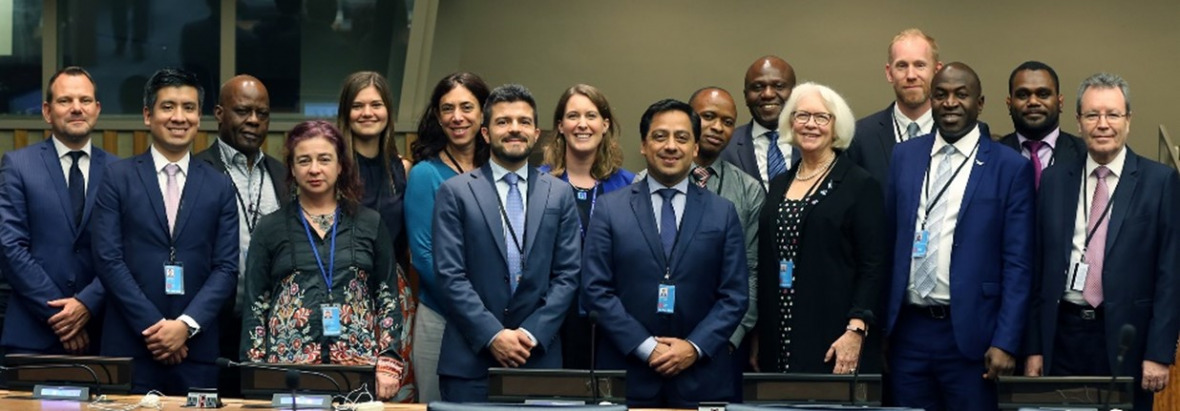 STRONG High Seas project participants at the BBNJ negotiations in New York (2019). 