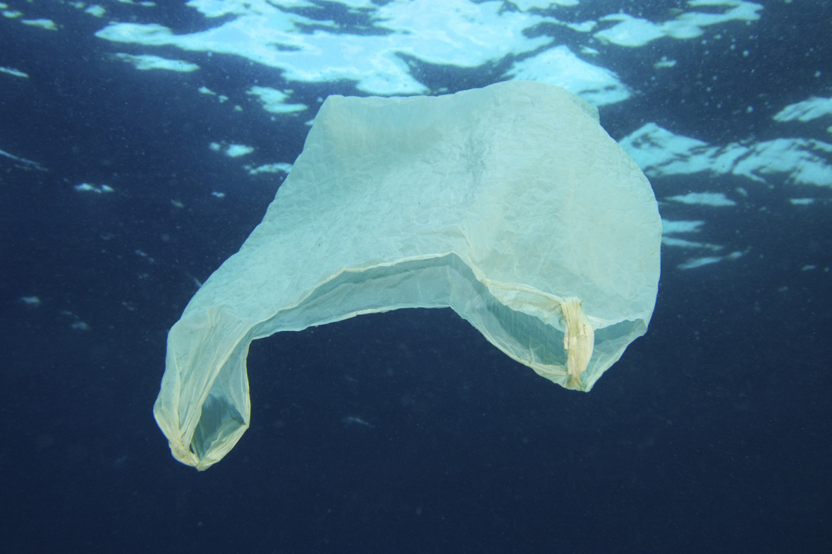 Bis zu 13 Millionen Tonnen Plastikmüll landen jedes Jahr im Meer. © istock/MikaelEriksson