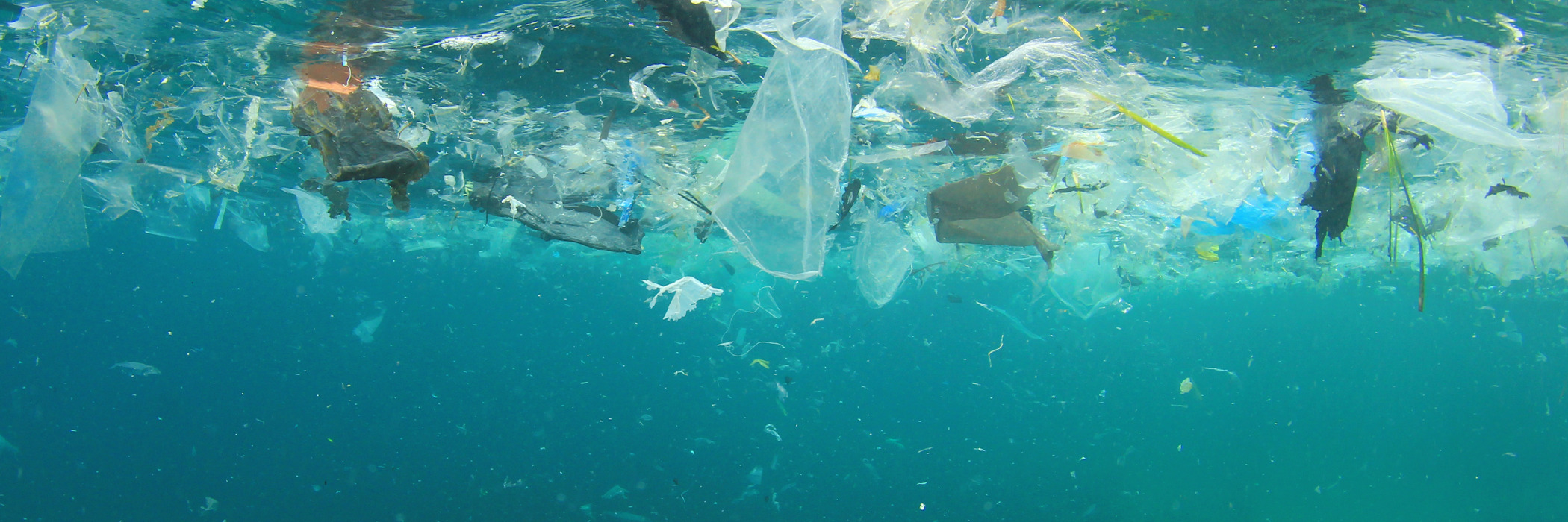 Der Ozean ist voll von Plastikmüll.