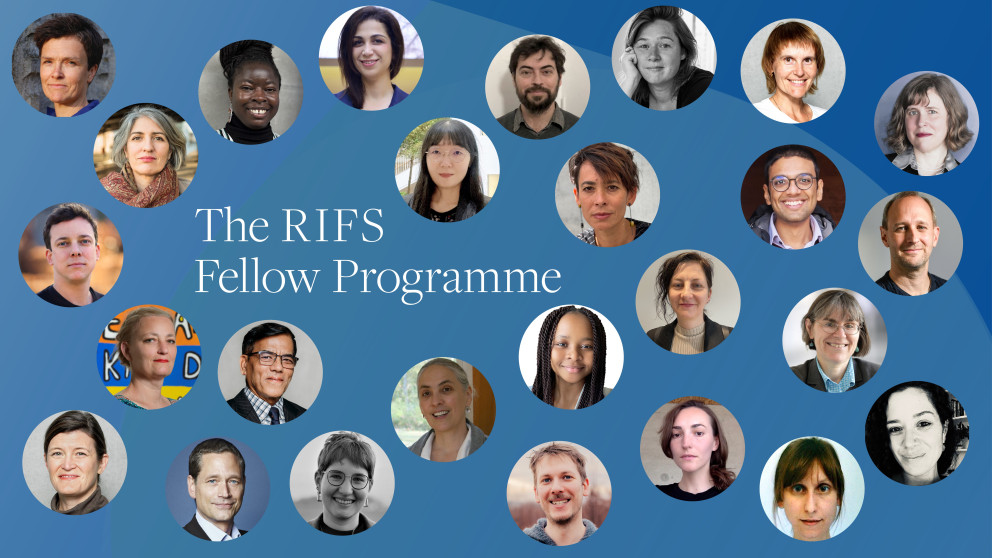 The RIFS Fellow Programme