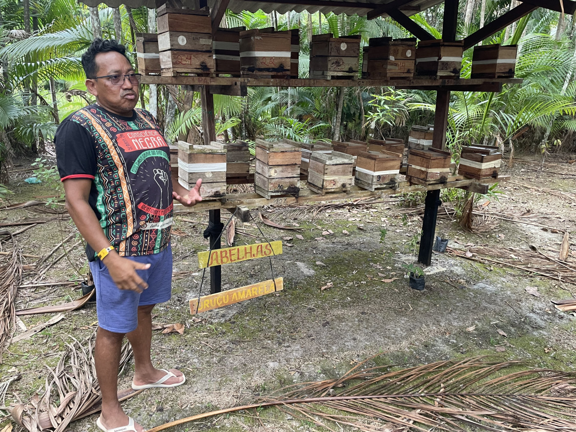 Die Initiative fördert die Bienenzucht, um die Bestäubung anzuregen und das Gebiet zu schützen, und verbindet so die ökologische Wiederherstellung mit der Verteidigung traditioneller Ländereien.