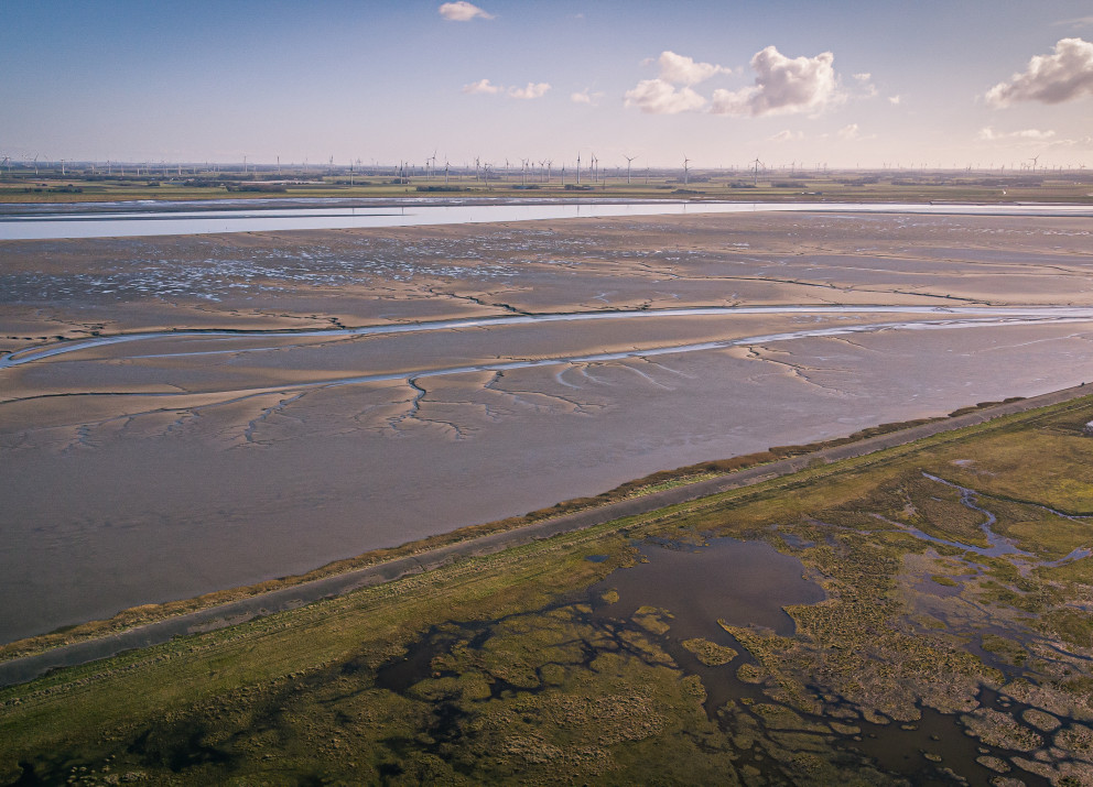Küstenökosysteme wie das niedersächsische Wattenmeer können große Mengen an Kohlenstoff aus der Atmosphäre im Sediment speichern. 