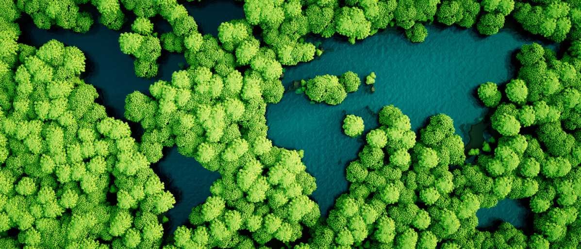 Um nachhaltige Zukünfte zu schaffen, muss auch die Wissenschaft umdenken. 