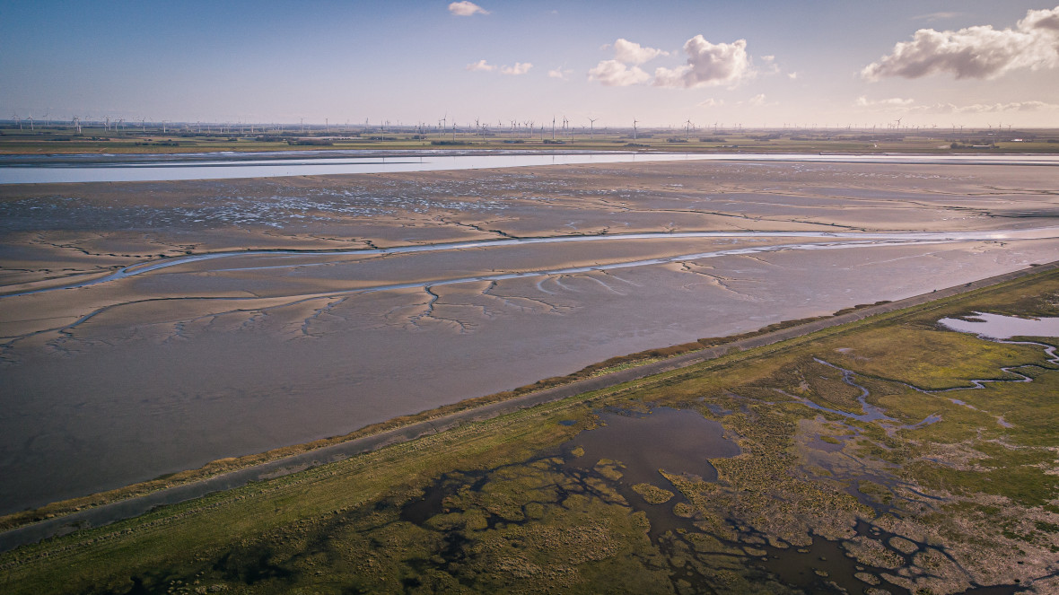 Küstenökosysteme wie das niedersächsische Wattenmeer können große Mengen an Kohlenstoff aus der Atmosphäre im Sediment speichern. 