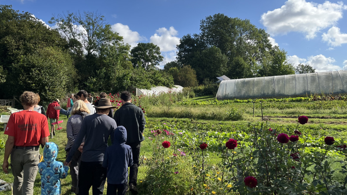 You can regularly find people helping out on the fields of ‘Gärtnerhof Himmel und Erde’ in Mecklenburg-Western Pomerania. In keeping with the principles of community-supported agriculture, producers and consumers share responsibility for sustainable food production.
