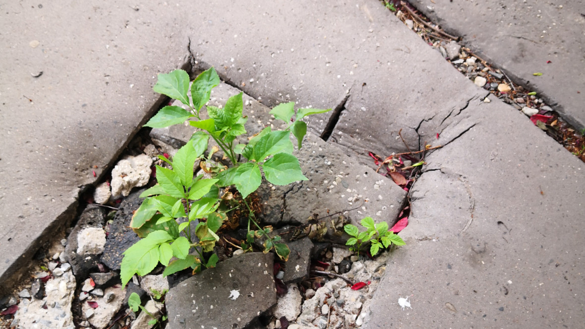 Was für eine Zukunft wollen wir schaffen, und für wen?